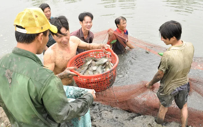 Người phụ nữ Cà Mau đội nón lá trên thuyền chợ nổi — nụ cười hiền hậu
