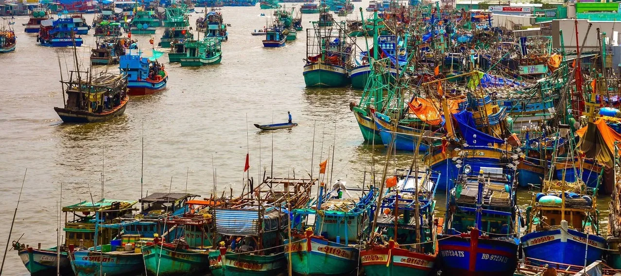 Cảng Cá Sông Đốc