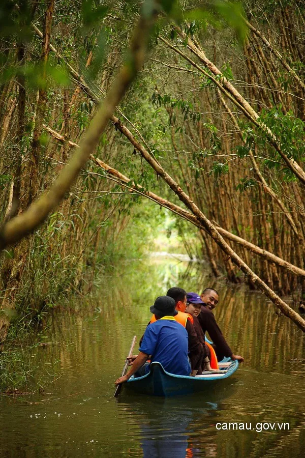 Vỏ lãi lướt bèo tấm rừng tràm U Minh